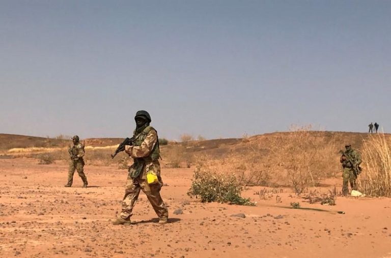 Burkina Faso : Des terroristes neutralisés à la frontière Nigérienne