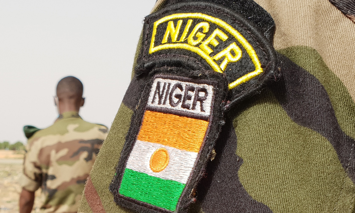 Niger : Les FDS neutralisent des voleurs de bétail dans la région de Tahoua