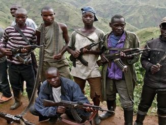 combattants démobilisés